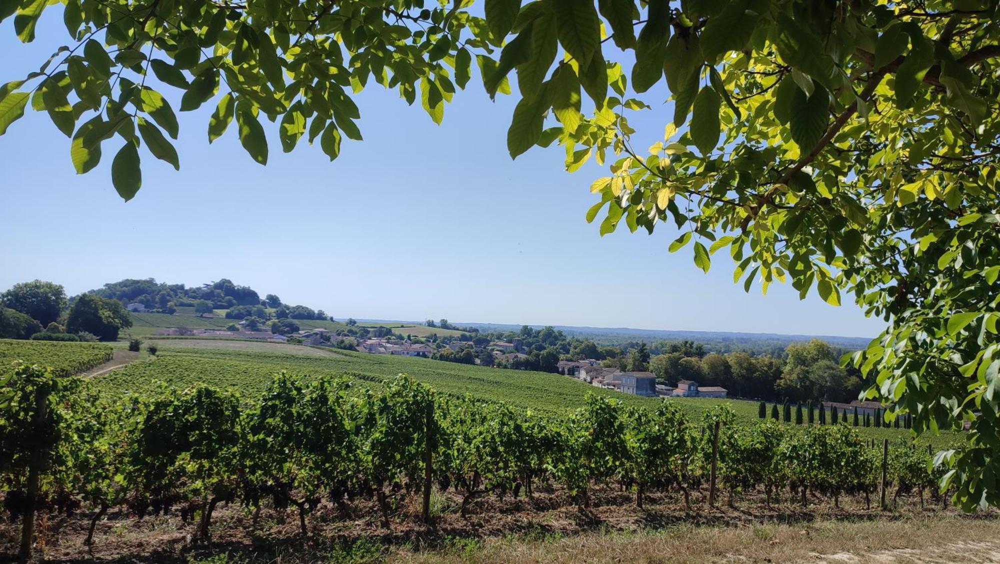 Maison Charmeilles - La Suite Saint Emilion Fronsac  Exterior foto